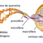 planchas pelo como funcionan